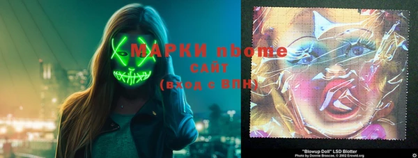 амф Бородино