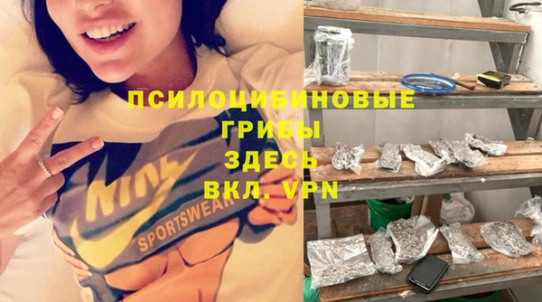 амф Бородино