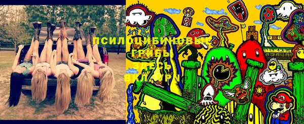 амф Бородино