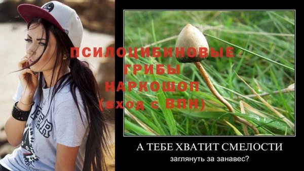 ALPHA PVP Бугульма