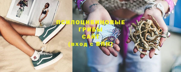 ешки Бронницы