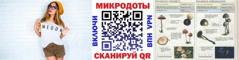Галлюциногенные грибы Magic Shrooms Минусинск